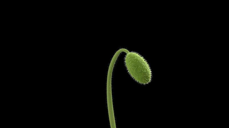 数展作品 国家自然博物馆上新啦！