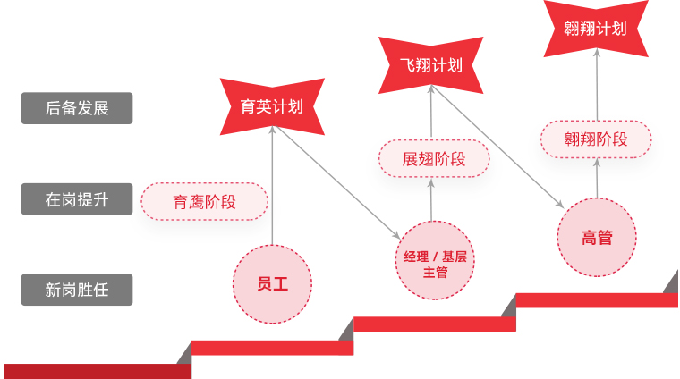 兴发娱乐 "雄鹰妄想"人才梯队作育